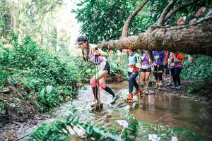 BIB: 
                            <button type="button" onclick="openModal(25516986)" class="btn btn-primary btn-sm float-right btn-popup" data-toggle="modal" data-target=".modal-high-quality">
                        <i class="fas fa-shopping-cart"></i> Add to Cart
                    </button>
                                            <button type="button" onclick="isThisMe(25516986, true)" class="btn btn-success btn-sm float-right btn-popup btn-isme hidden" data-toggle="tooltip" data-placement="bottom" title="นี่คือรูปของคุณใช่ไหม คลิกที่นี่เพื่อเอาเข้าอัลบั้ม">
                        <i class="fas fa-plus"></i> Add to album
                    </button>
                    <button type="button" onclick="isThisMe(25516986, false)" class="btn btn-warning btn-sm float-right btn-popup btn-isnotme hidden">
                        <i class="fas fa-ban"></i> Remove from album
                    </button>